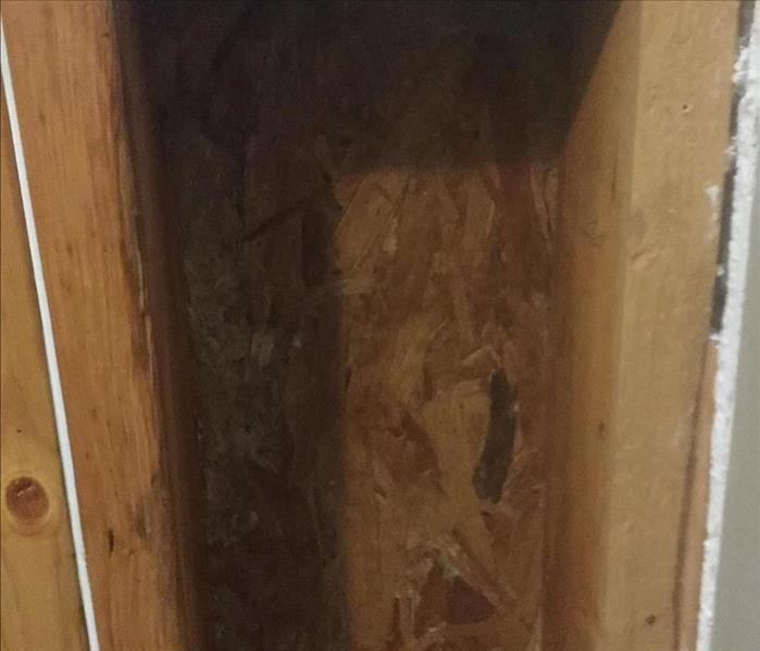 A picture of the wall cavity after mold remediation has been completed.