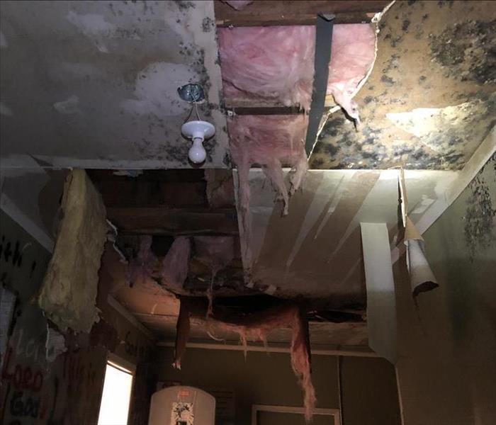 A ceiling collapsed from rain water has grown mold