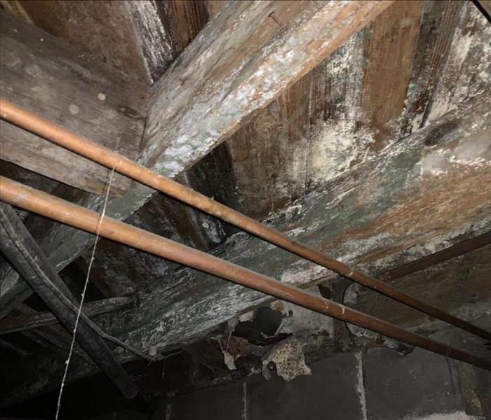 Mold growing on the floor joists in a crawlspace